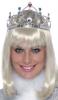  Silver Flower Tiara 
