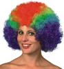  CURLY WIG, BARGAIN, RAINBOW 